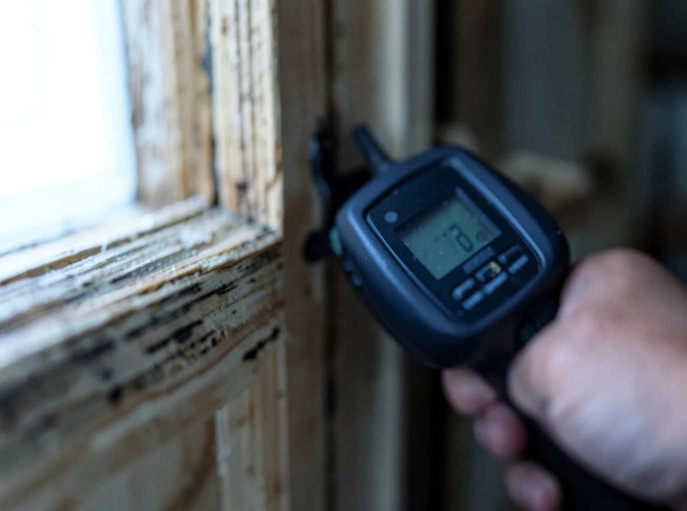 Ceiling Water Damage Repair in Greeley, IA